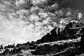 2023_08_08_Chartreuse (0005)